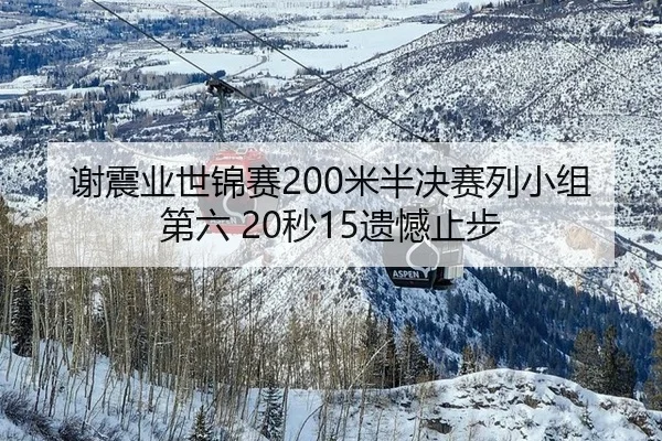 谢震业世锦赛200米半决赛列小组第六 20秒15遗憾止步